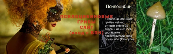 PSILOCYBIN Абинск
