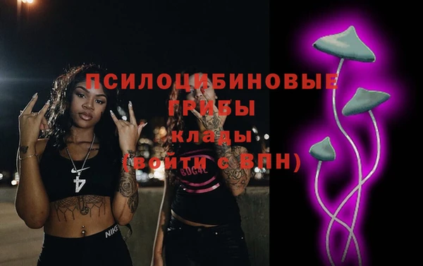 PSILOCYBIN Абинск