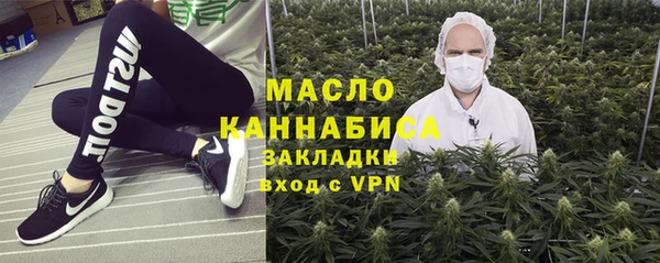 дмт Пересвет