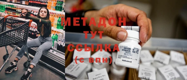 прущие грибы Пестово