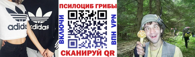 Псилоцибиновые грибы Psilocybine cubensis  Усть-Кут 